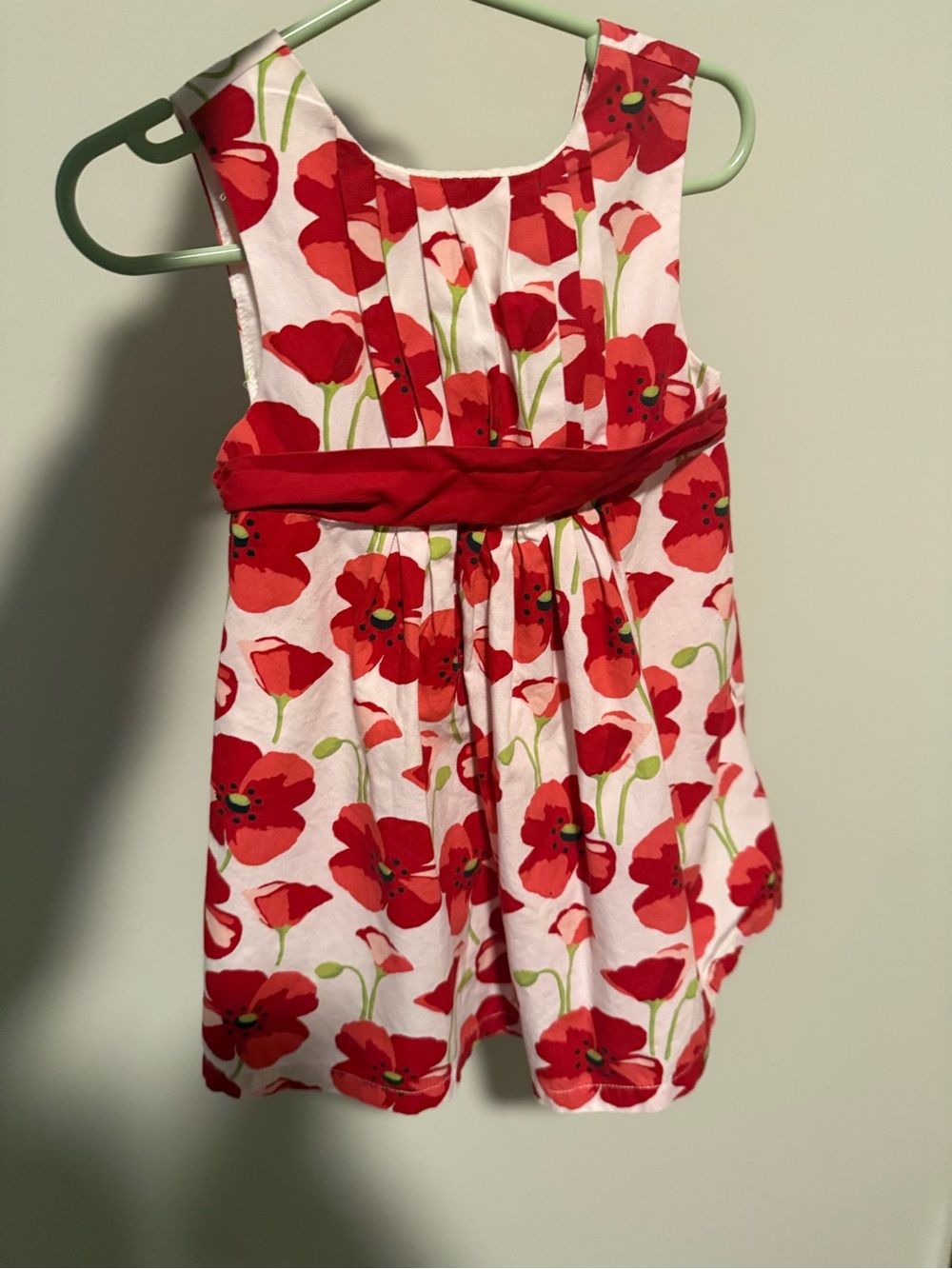 Gymboree Red Poppy Floral Dress